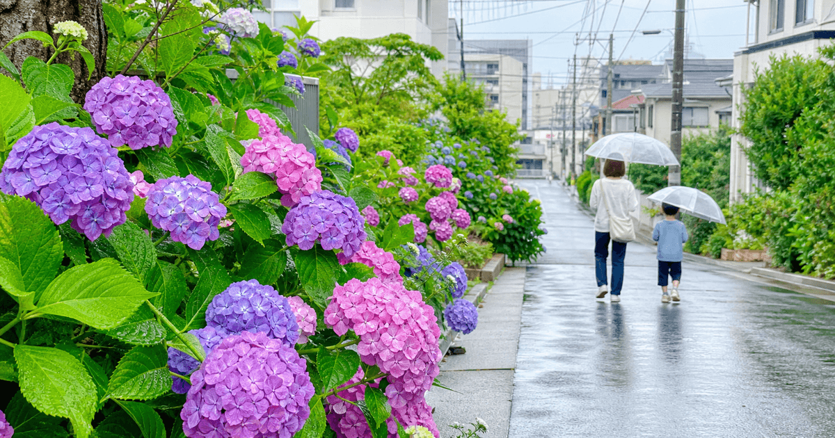 GWが雨でも楽しめる!東京・関東の室内おでかけガイド【2026年版】