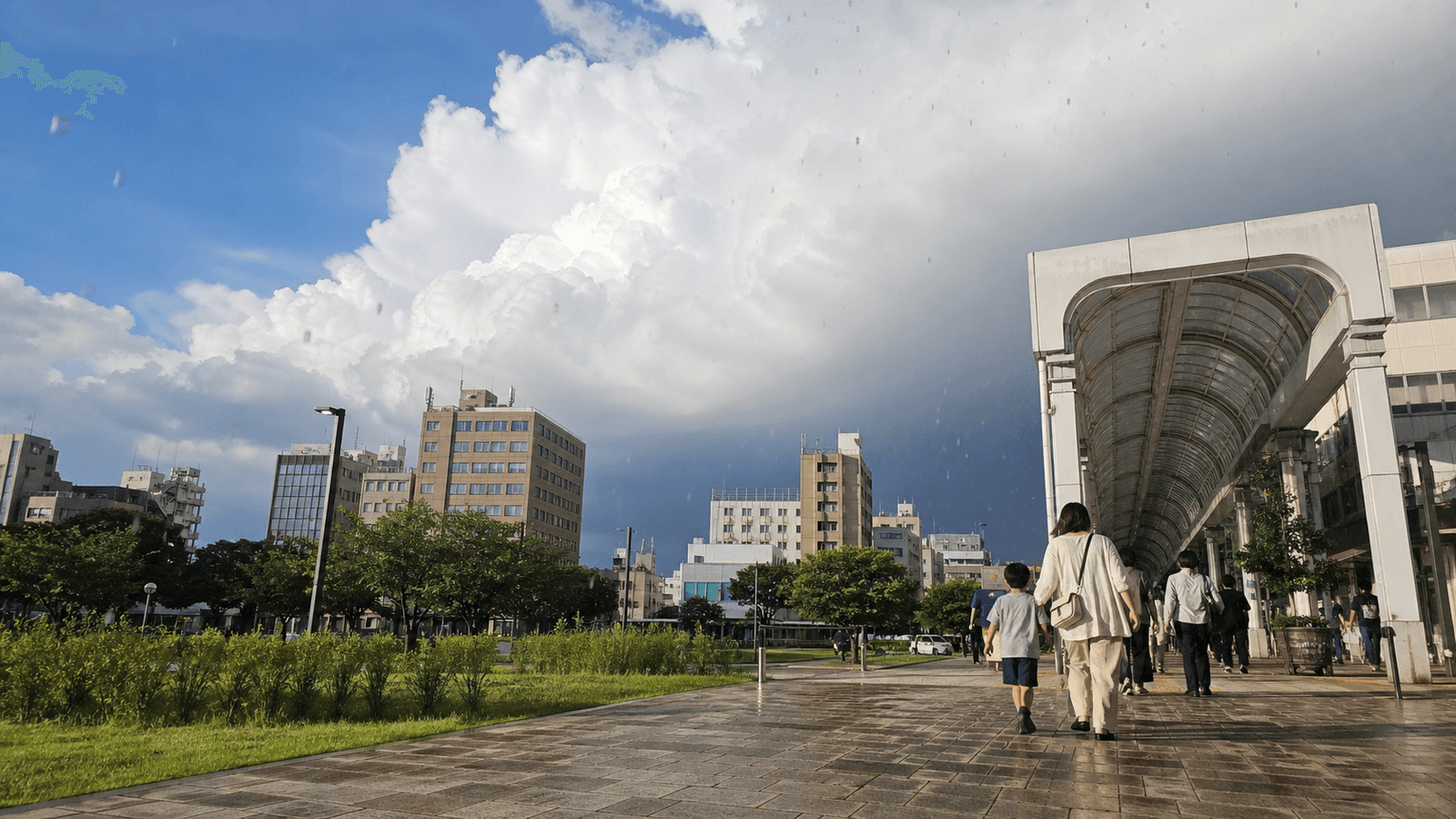 【2026年最新版】急な雨・ゲリラ豪雨対策!傘がない時でも慌てないスマートな備え方