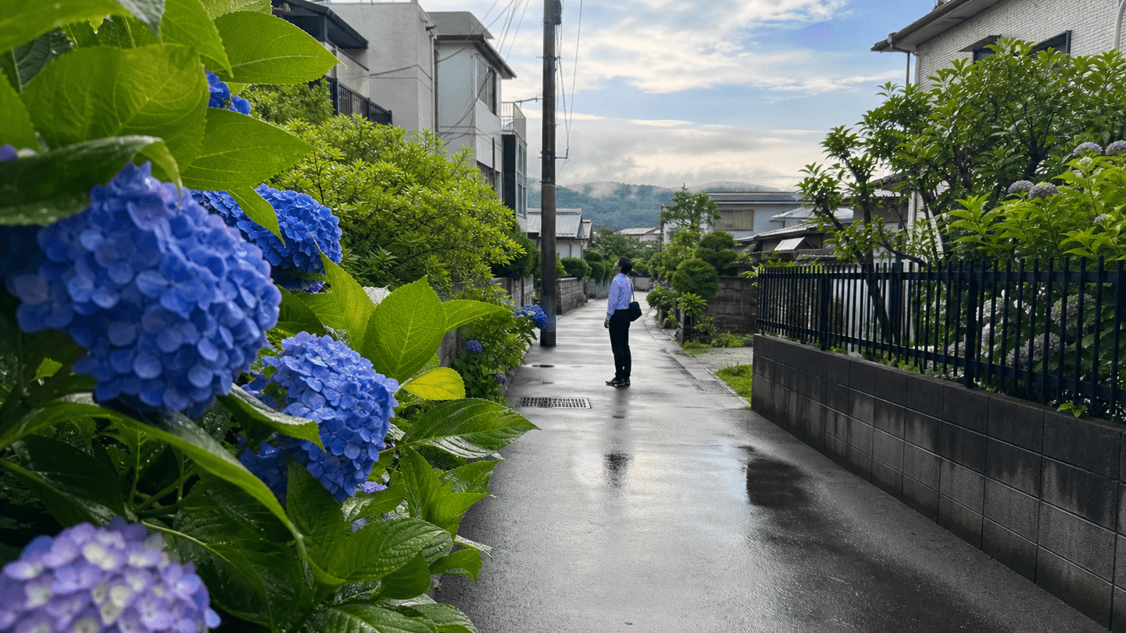 【2026年最新予想】梅雨入りはいつ?昔と今で変わる梅雨の常識と賢い備え方